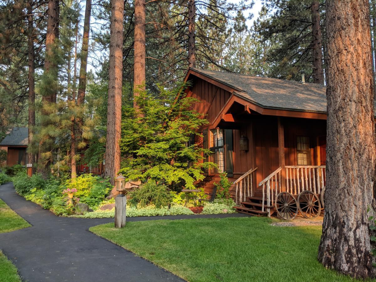 Black Bear Lodge South Lake Tahoe Extérieur photo