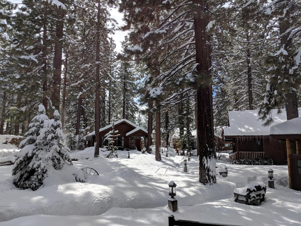 Black Bear Lodge South Lake Tahoe Extérieur photo